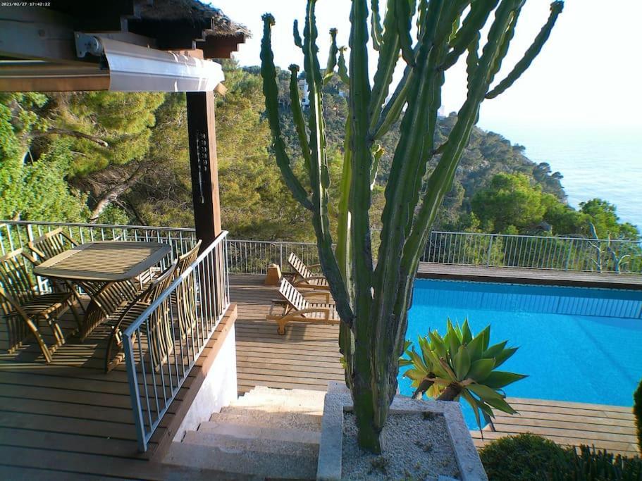 Отель Terraza Al Mar Балкон-дель-Мар Экстерьер фото